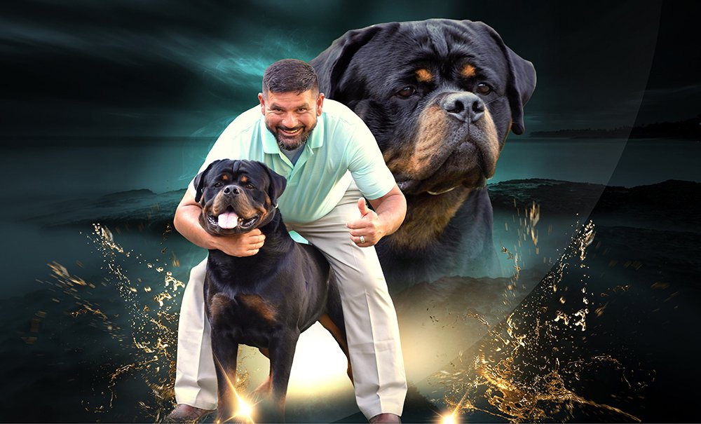 DKV-Rottweilers-Best-Rottweilers-German-Rottweiler-Puppies-For-Sale-Angel-and-Conan-Von-Der-Korperkraft-1