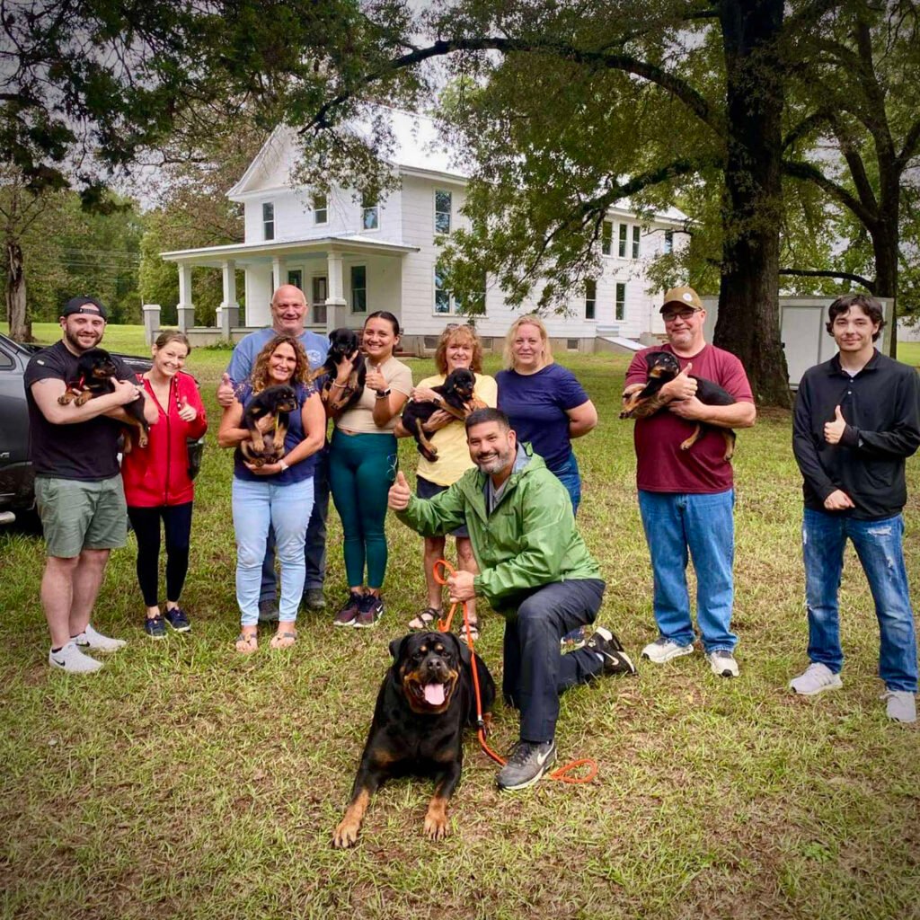 Best Rottweilers - DKV Rottweilers - German Rottweiler Puppies For Sale - DKV Rottweilers Reviews - DKV Family 1 Trusted DKV Rottweilers Five Star Reviews and Testimonials