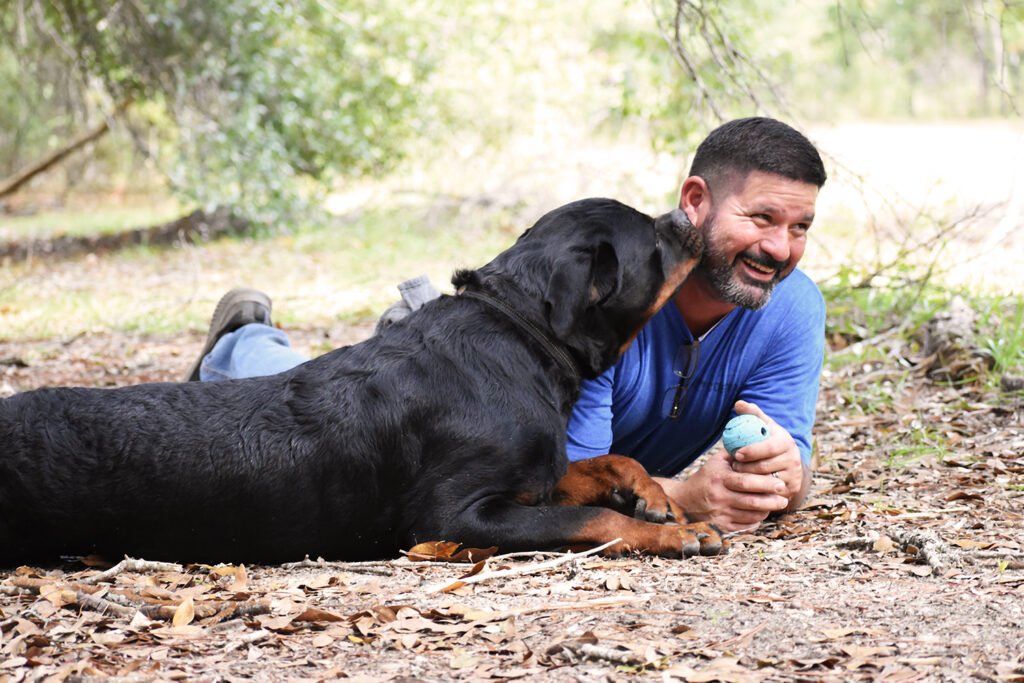 Best-Rottweilers-DKV-Rottweilers-German-Rottweiler-Puppies-For-Sale-DKV-Reviews-John-Wick Proven German Rottweilers Selected for Health Temperament and Conformation