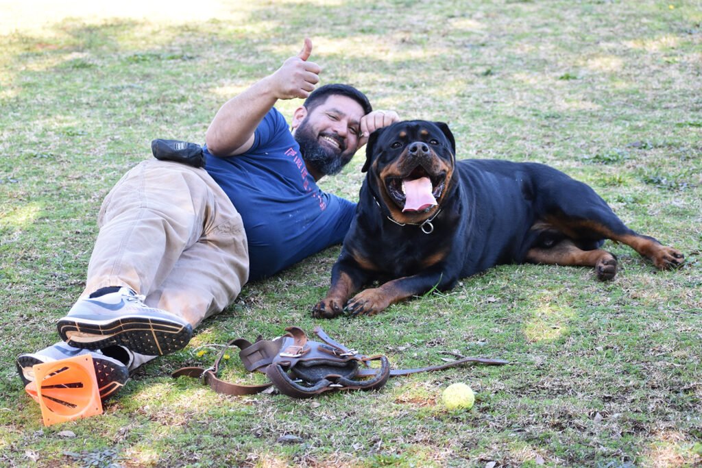 The DKV Rottweiler brand is recognized and respected worldwide for elite quality professionalism and integrity in Rottweiler breeding