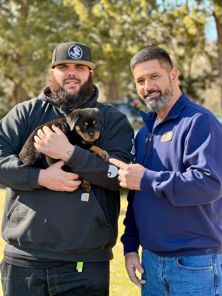 Best Rottweilers - DKV Rottweilers - German Rottweiler Puppies For Sale - DKV Rottweilers Reviews - DKV Family 17 For over 30 years DKV Rottweilers have been the gold standard for the best Rottweilers in the United States