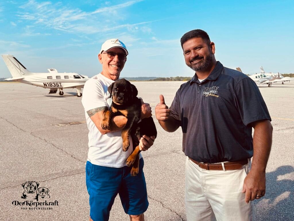 Best Rottweilers - DKV Rottweilers - German Rottweiler Puppies For Sale - DKV Rottweilers Reviews - DKV Family 29 For over 30 years DKV Rottweilers have been the gold standard for the best Rottweilers in the United States