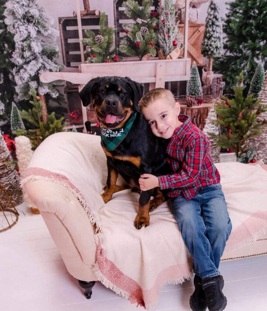 Best Rottweilers - DKV Rottweilers - German Rottweiler Puppies For Sale - DKV Rottweilers Reviews - DKV Family 32 For over 30 years DKV Rottweilers have been the gold standard for the best Rottweilers in the United States