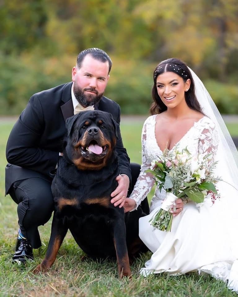 Best Rottweilers - DKV Rottweilers - German Rottweiler Puppies For Sale - DKV Rottweilers Reviews - DKV Family 53 For over 30 years DKV Rottweilers have been the gold standard for the best Rottweilers in the United States