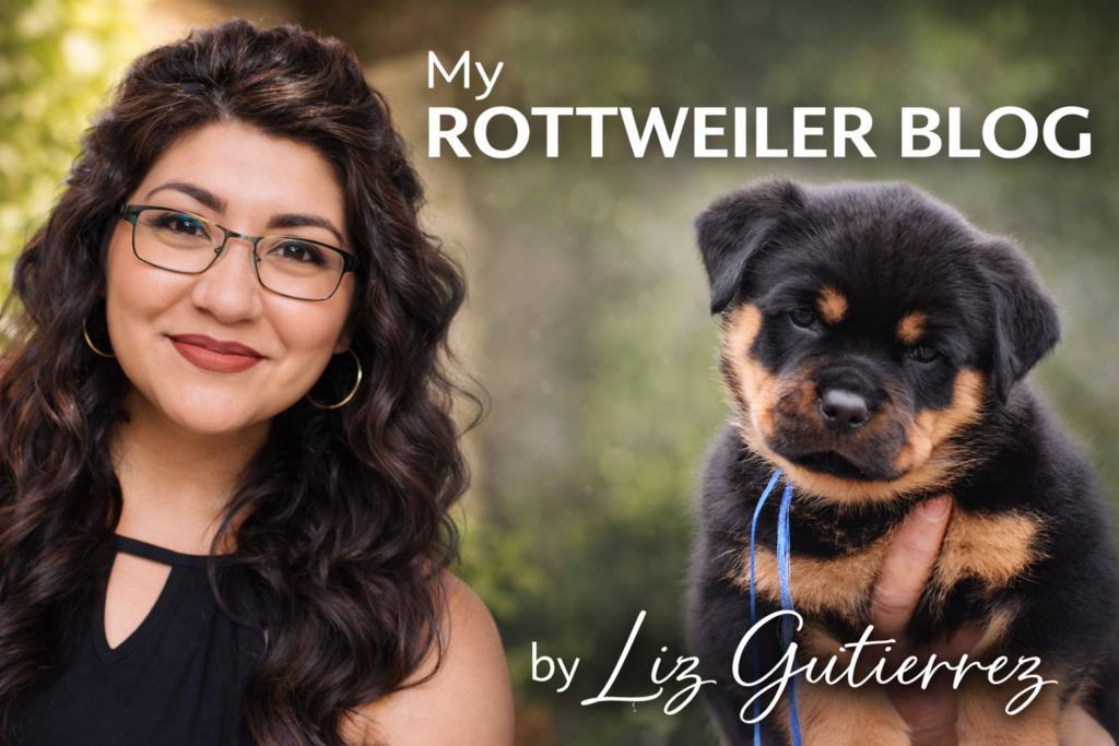 Topics reflect lessons learned through years of responsibility mistakes success and long-term commitment to the Rottweiler breed