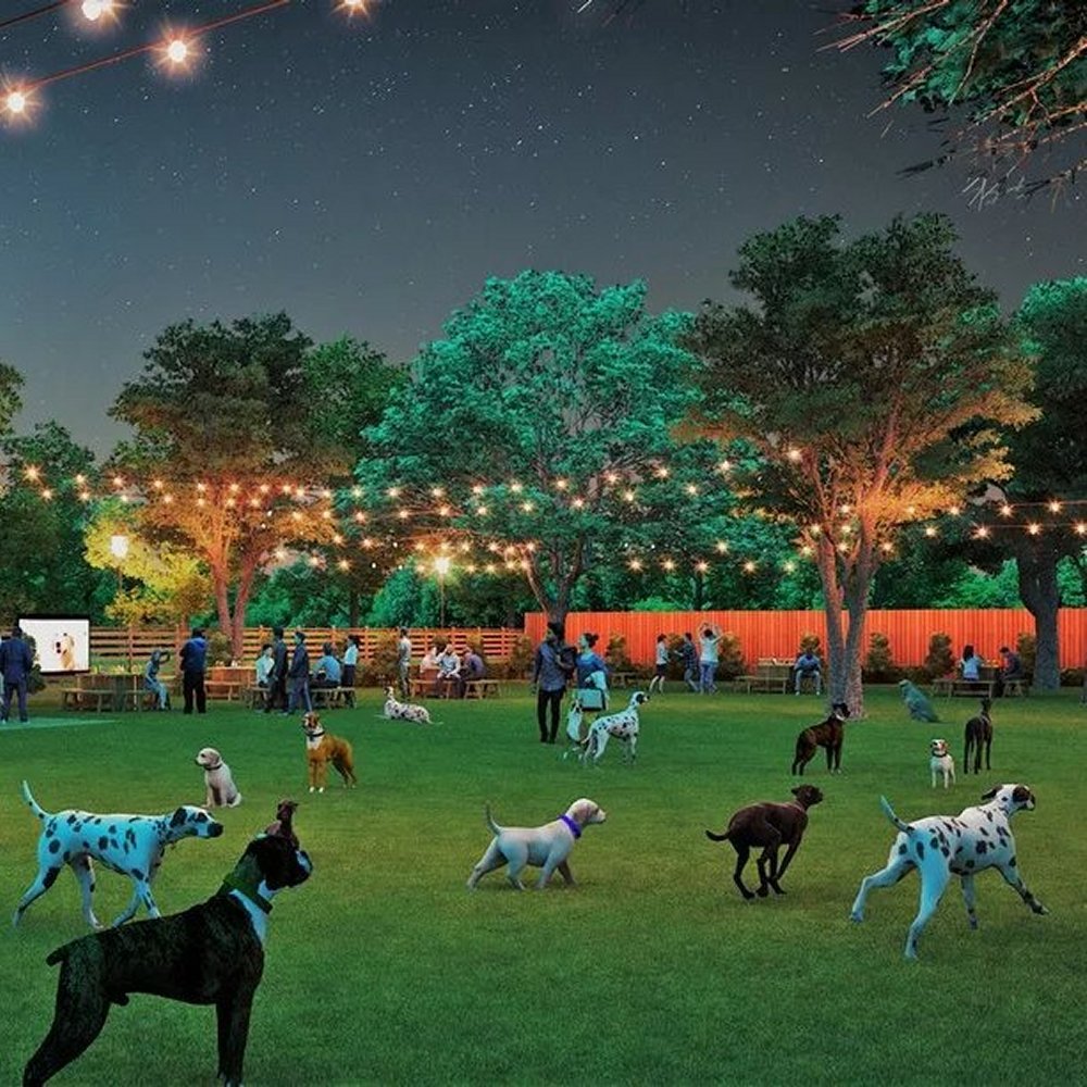 Best Rottweilers - Our many services empower our DKV Rottweiler brand.