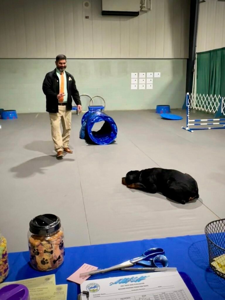 The Rottweiler is an intelligent loyal and confident guardian but it is not a breed suited for everyone.