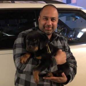DKV Rottweilers Reviews - Amandeep Bains Trusted DKV Rottweilers Five Star Reviews and Testimonials