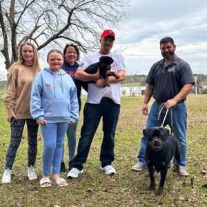 DKV Rottweilers Reviews - Derek Jones Trusted DKV Rottweilers Five Star Reviews and Testimonials