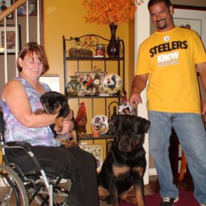 DKV Rottweilers Reviews - Kaye Crisco Trusted DKV Rottweilers Five Star Reviews and Testimonials