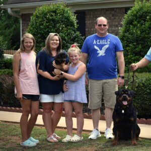 DKV Rottweilers Reviews - Kristi Manning Trusted DKV Rottweilers Five Star Reviews and Testimonials