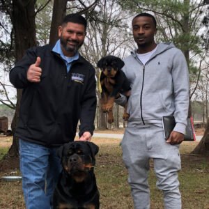 DKV Rottweilers Reviews - Kyle Thurman Trusted DKV Rottweilers Five Star Reviews and Testimonials