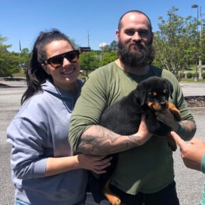 DKV Rottweilers Reviews - Mike Allen Trusted DKV Rottweilers Five Star Reviews and Testimonials