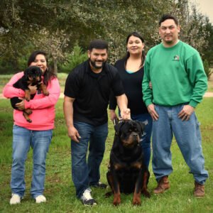 DKV Rottweilers Reviews - Nicolette Jimerson Trusted DKV Rottweilers Five Star Reviews and Testimonials